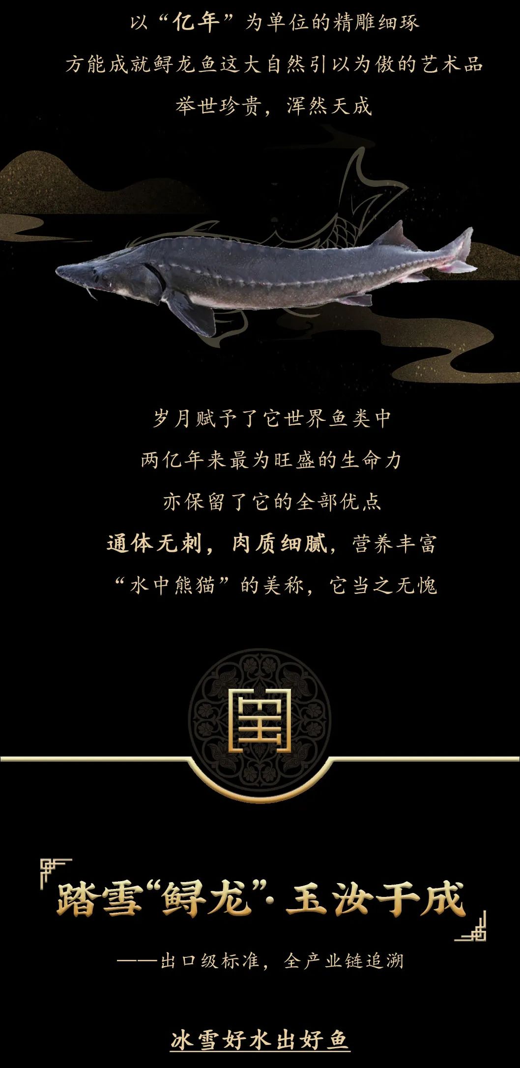 九州鱘龍魚片上新 | 自然臻藏，獻(xiàn)給吃魚有講究的人